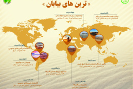 اینفوگرافیک