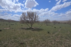 عکس‌مرتع سربیشه
