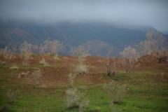 خراسان جنوبی - زیرکوه