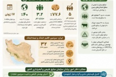 اینفوگرافیک وضعیت بحران بیابان‌زایی در جهان و ایران و عملکرد دفتر امور بیابان سازمان منابع‌طبیعی و آبخیزداری کشور 