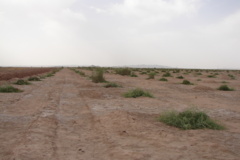 اقدامات مقابله با بیابانزایی در خراسان جنوبی