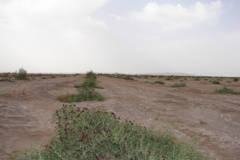 اقدامات مقابله با بیابانزایی در خراسان جنوبی