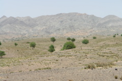 ذخیرگاه جنگی تگ احمد شاهی