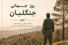 گزارش خبری روز جهانی جنگلبان 