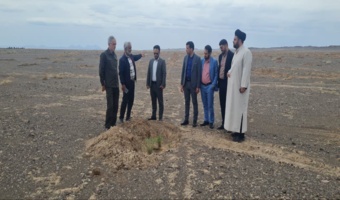 بازدید داستان و دادیاران