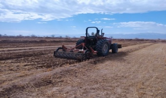 آغاز عملیات بسترسازی و آماده سازی تولید نهال هم‌زمان بادهه مبارک فجر