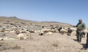 اقدام سریع منابع طبیعی خوسف: رفع چرای غیرمجاز در مرتع ماژان