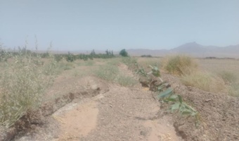 اجرای طرح بادشکن زنده در شهرستان عشق‌آباد