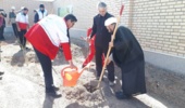 کاشت 3 هزار اصله نهال با کمک جمعیت هلال احمر 