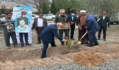 بیش از 10 هزار اصله نهال به مناسبت روز برات در آرامستان های استان توزیع شد