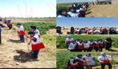 کاشت نهال مثمر در  ناحیه مقاومت سپاه فردوس
