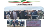 پویش بزرگ کاشت 2000-اصله درخت در شهرستان زیرکوه