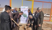غرس نهال در ورزشگاه غدیر 