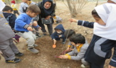  نهالستان شهید صادقی میزبان مرکز پیش دبستانی سوگند  