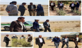 بازدید فرماندار و معاونین با همراهی رئیس اداره منابع طبیعی و آبخیزداری شهرستان زیرکوه از آبیاری سنواتی و سبزینگی پروژه 450 هکتاری نهالکاری دشت بمرود