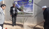 مراسم آغازین طرح مردمی کاشت یک میلیارد درخت در شهرستان قاینات برگزار شد