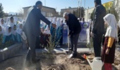 کاشت درخت در مدرسه دخترانه یاس نبی توسط دانش اموزان
