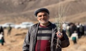 توزیع گونه‌های بیابانی نهال و بذر بین مردم خراسان جنوبی
