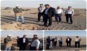 بازدید مدیر کل و معاون دفتر امور بیابان سازمان منابع طبیعی کشور از نهالکاری بخشی از طرح ۱۰۰ هزار هکتاری دهشور