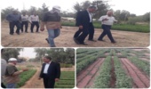 بازدید مدیر کل و معاون دفتر امور بیابان سازمان منابع طبیعی و آبخیزداری کشور از نهالستان حسین آباد شهرستان طبس