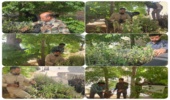 چهارمین مدرسه در طرح هر مدرسه یک نهالستان(طرح شهید مرادی)