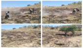 مهار آتش سوزی در مراتع بالا دست روستای فندخت