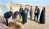 برگزار ی پویش نهالکاری به مناسبت دهه فجر  در  شهرستان های  استان