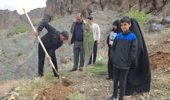 کاشت 22 هزار نهال در پویش سرو ایران