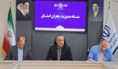 88 هزار هکتار از مراتع خراسان جنوبی درگیر آفت ملخ تاغ‌خوار شد