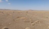 آغاز عملیات آبیاری «لگجی» در منطقه خور خوسف برای مهار شنهای روان