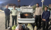 عملیات موفق یگان حفاظت اداره منابع طبیعی و آبخیزداری شهرستان طبس در کشف محموله آنغوزه