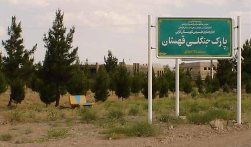 برگریزان بی بازگشت در پارک جنگلی قاین