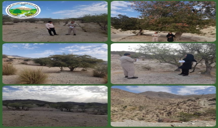 درآمد ۶۰ میلیارد تومانی خام فروشی را می‌توان چند برابر کرد