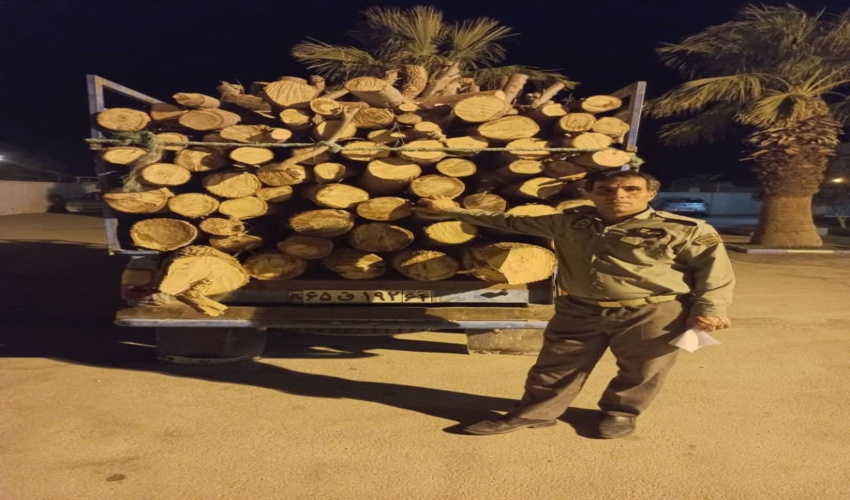 بیش از 3 تن چوب جنگلی در شهرستان طبس توقیف شد