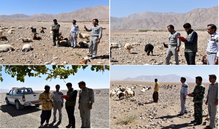 شاخ شماری سامان های عرفی تحت مدیریت مشترک منابع طبیعی و حفاظت محیط زیست شهرستان زیرکوه