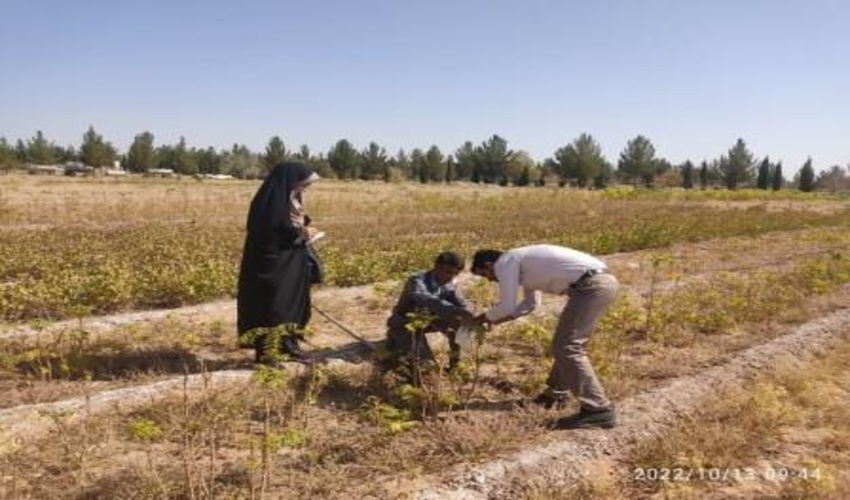 بازید کارشناسان حفظ نباتات از نهالستان شهید صادقی 