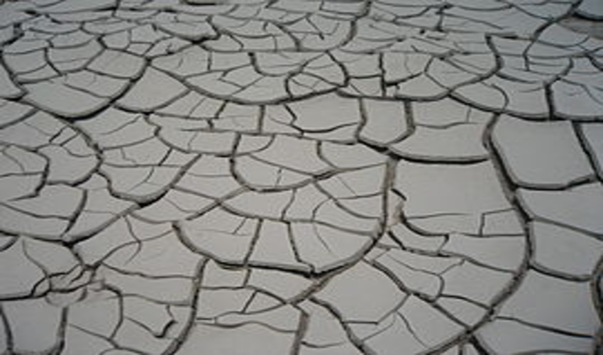 باید برنامه‌های توسعه‌ای بیابان زدایی بازنگری شود