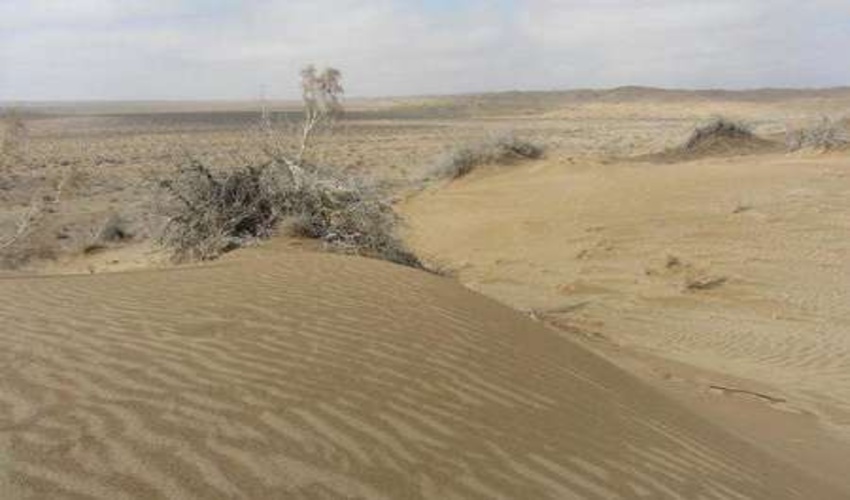 20درصد شهرستان سربیشه درگیر پدیده ی بیابان است .