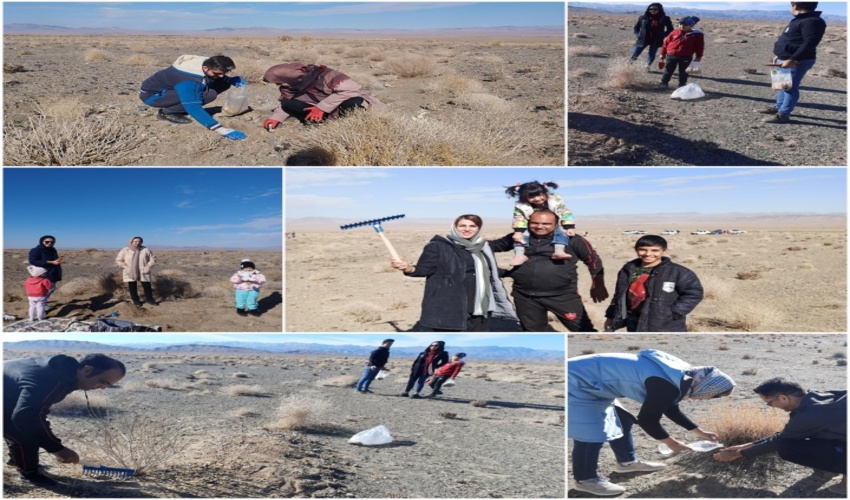 15 هکتار از مراتع بیرجند بذر کاری شد.