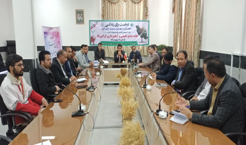 مشکلات پیش روی طرح مردمی کاشت یک میلیارد درخت در شهرستان درمیان