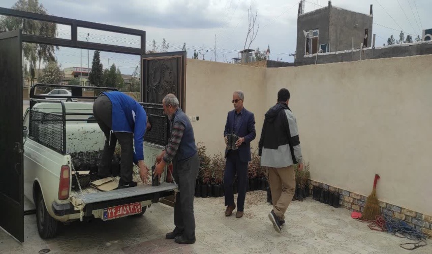 توزیع نهال گلدانی