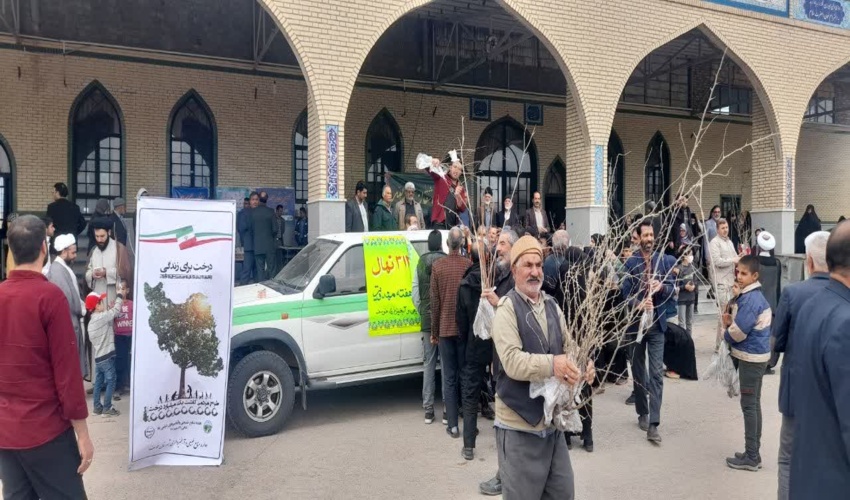 توزیع نهال به مناسبت هفته مهدویت