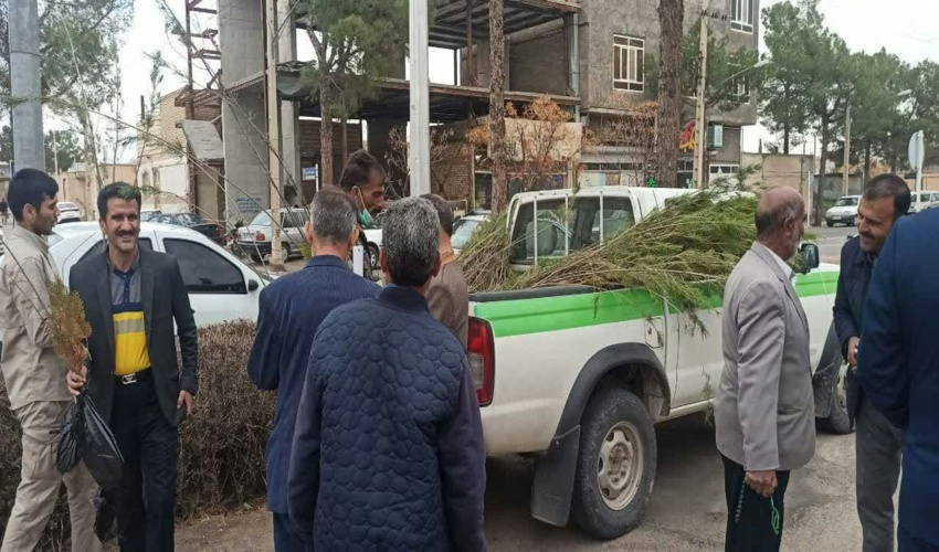 توزیع نهال رایگان در نماز جمعه فردوس