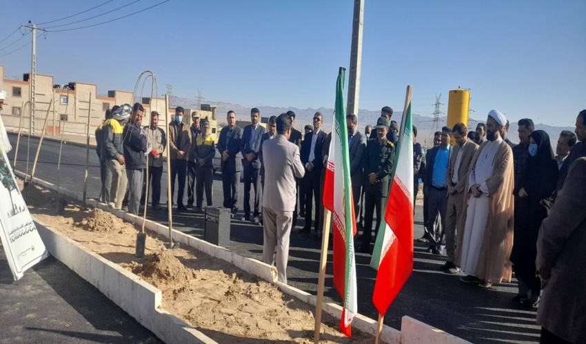 کاشت درخت در پانزدهم اسفند ماه