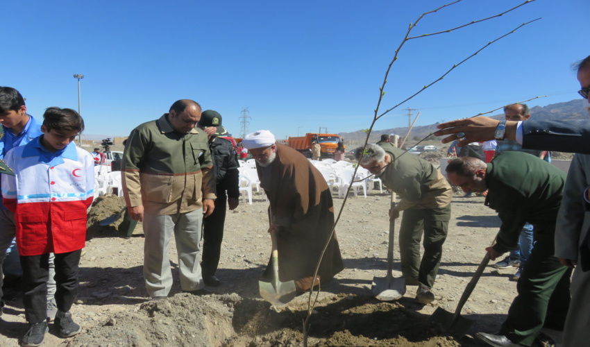 کاشت نهال در ستاد سپاه انصارالرضا(ع) خراسان جنوبی