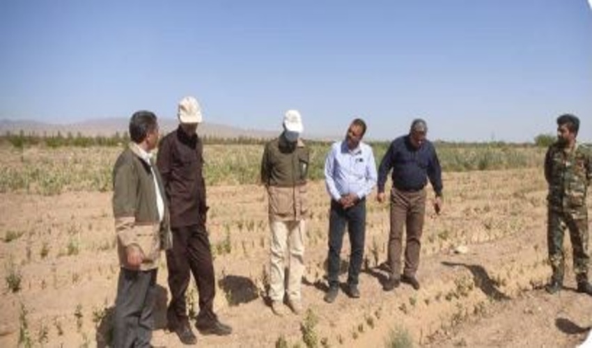 بازدید مدیر کل و هئیت همراه ازنهالستان فردوس