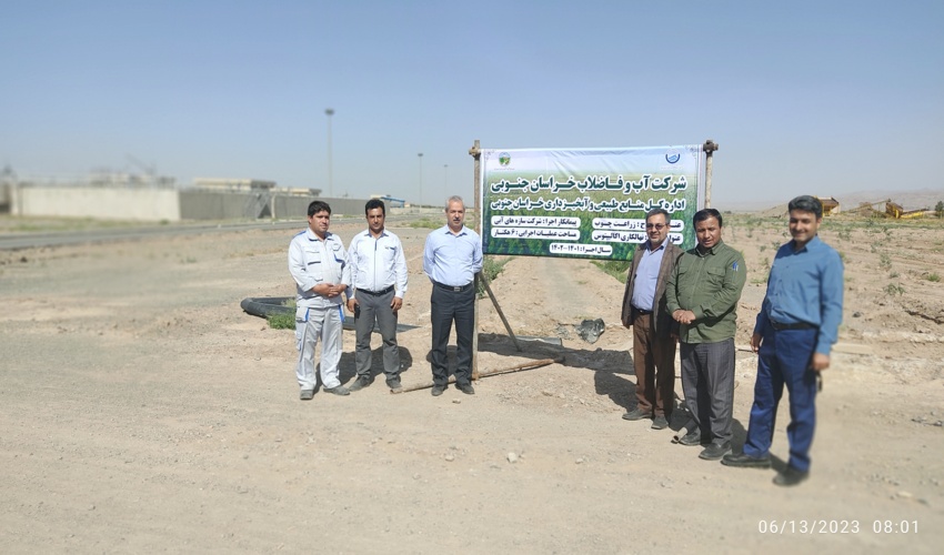 بازدید نماینده رئیس سازمان  از طرح زراعت چوب 