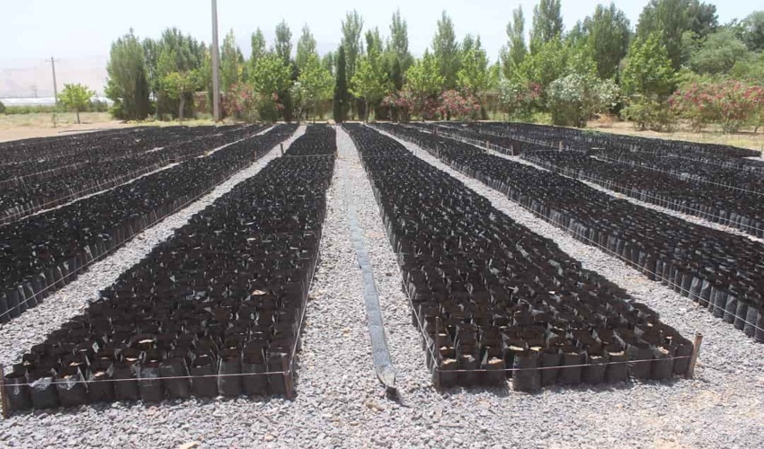 برخورد با متعرضان به اراضی ملی 