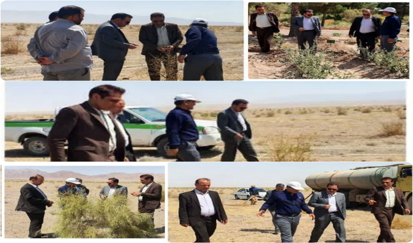 بازدید فرماندار و معاونین با همراهی رئیس اداره منابع طبیعی و آبخیزداری شهرستان زیرکوه از آبیاری سنواتی و سبزینگی پروژه 450 هکتاری نهالکاری دشت بمرود