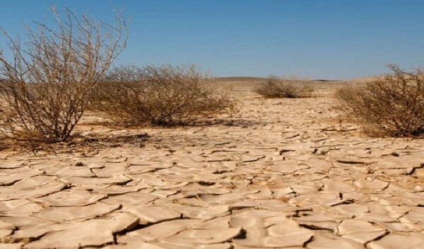 پیگیر اعتبارات مقابله با بیابان زایی هستیم